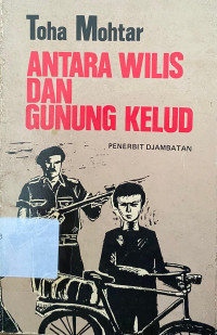 Image of Antara Wilis dan Gunung Kelud